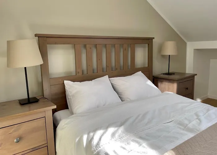 迪莱克狄公寓 公寓 克拉科夫