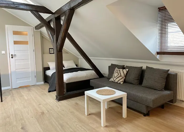 迪莱克狄公寓 公寓 克拉科夫