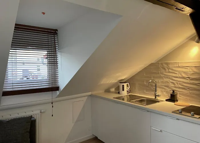 迪莱克狄公寓 公寓 克拉科夫