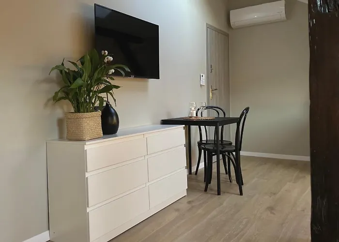 迪莱克狄公寓 公寓 *