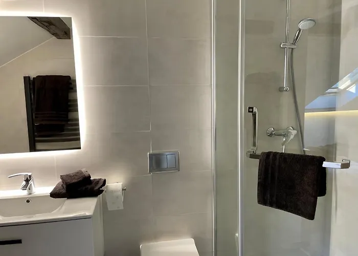 迪莱克狄公寓 公寓 *