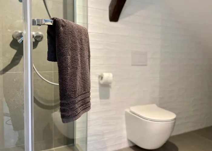 Delecta * 크라쿠프