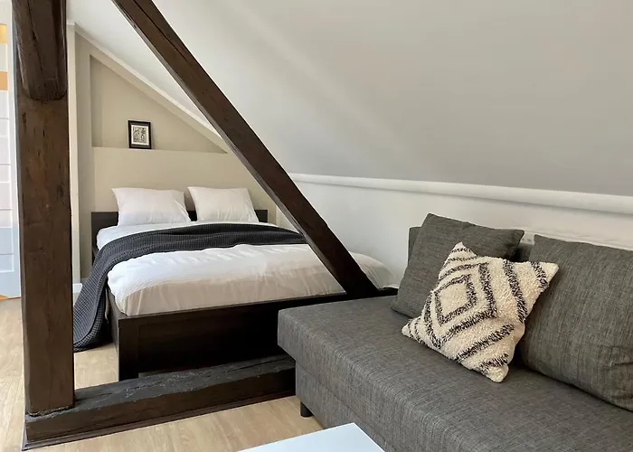 公寓 迪莱克狄公寓 克拉科夫