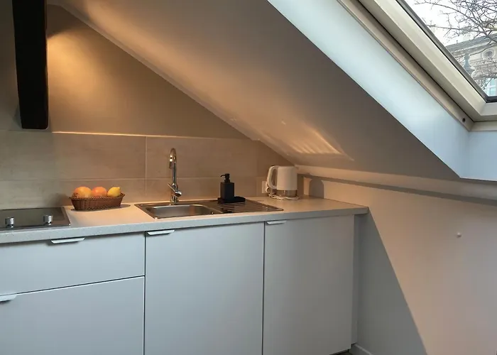 迪莱克狄公寓 公寓 克拉科夫