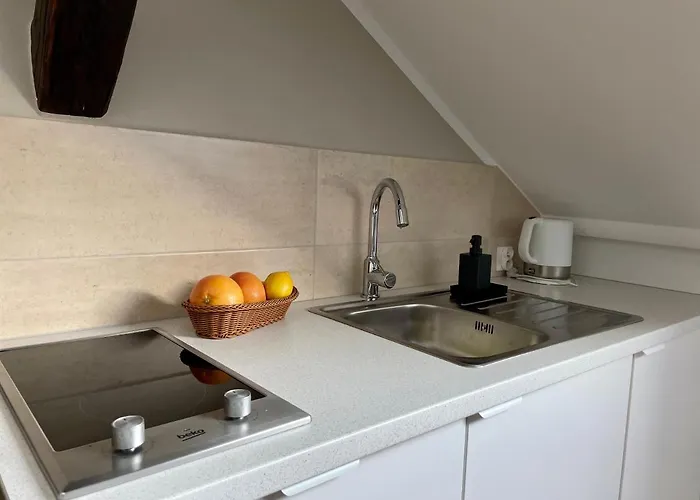 迪莱克狄公寓 * 克拉科夫