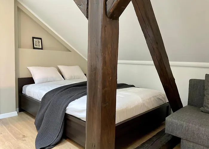 公寓 迪莱克狄公寓 *