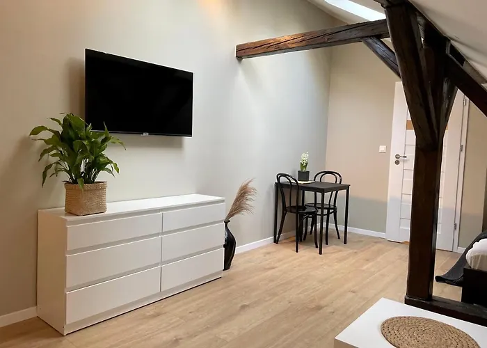 公寓 迪莱克狄公寓