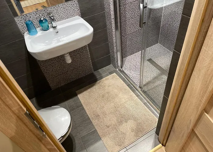 迪莱克狄公寓 克拉科夫