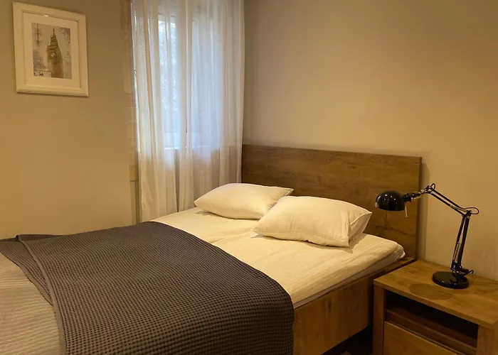 迪莱克狄公寓 公寓 *