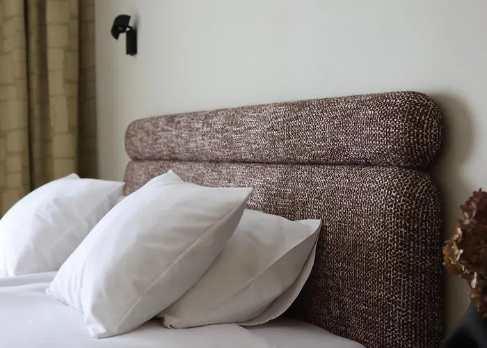 迪莱克狄公寓 公寓 *