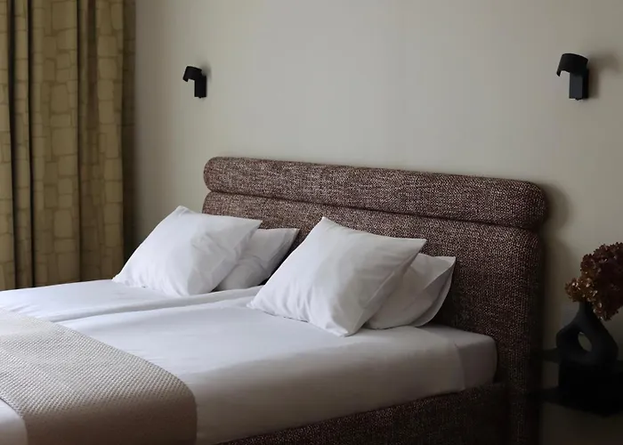 迪莱克狄公寓 公寓 *