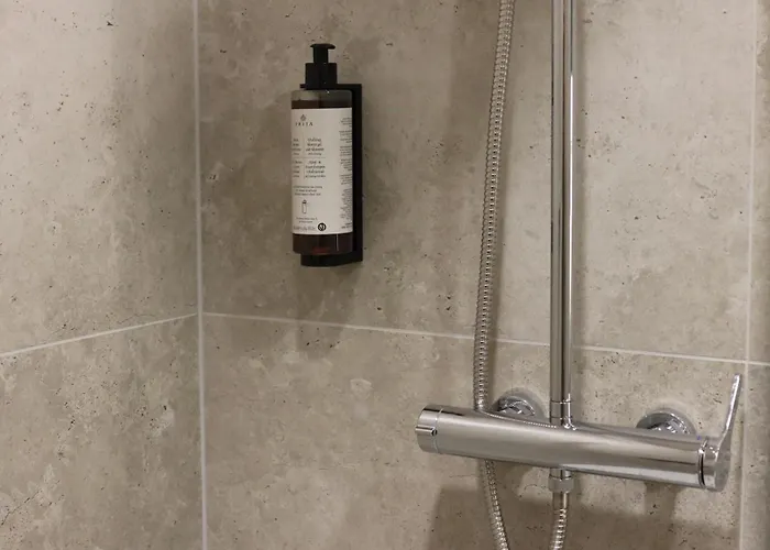 公寓 迪莱克狄公寓 *