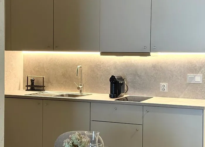 迪莱克狄公寓 *