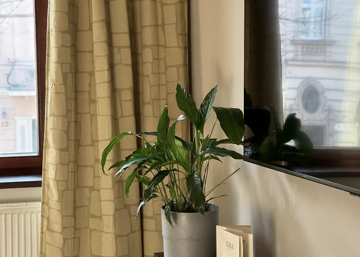 Delecta * 크라쿠프