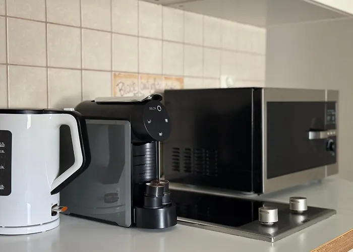 迪莱克狄公寓 *